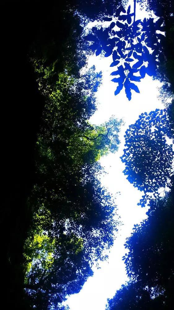 哈啰顺风车车主app游戏画面